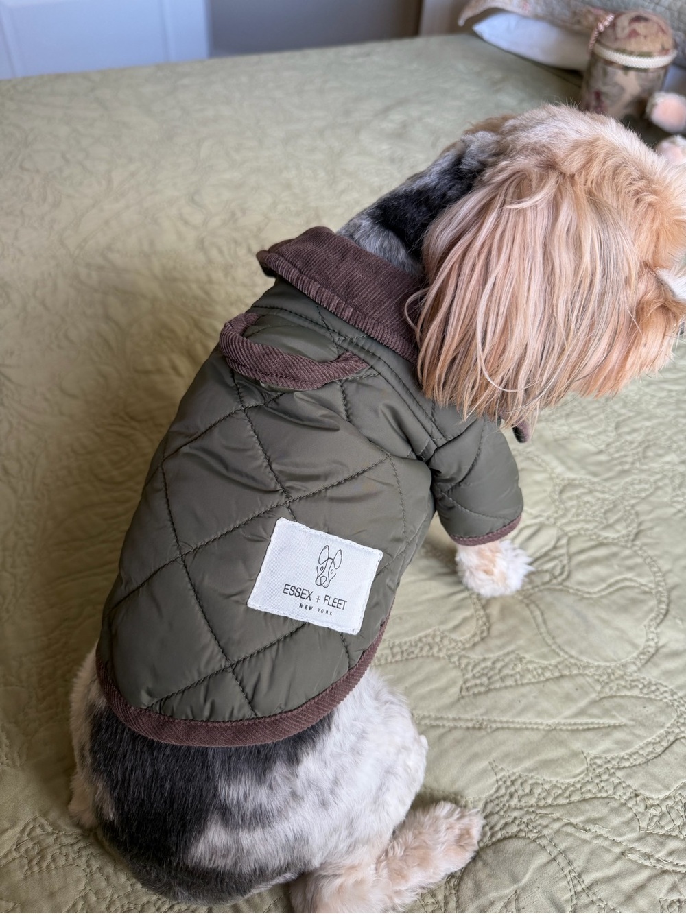 Essex + Fleet Quilted Dog Barn Chore Coat M Olive Green Brown Corduroy Collar